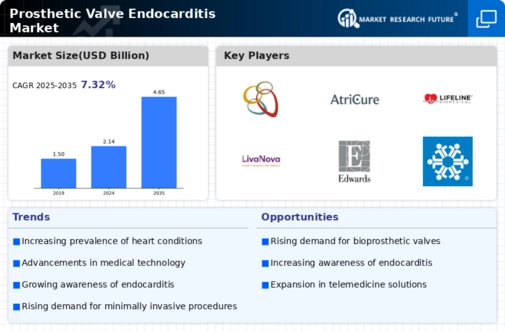 Prosthetic Valve Endocarditis Market Infographic