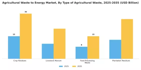Agricultural Waste To Energy Market Segment Image 1