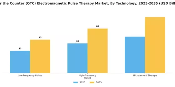 Over the Counter OTC Electromagnetic Pulse Therapy Market  Segment Image 3