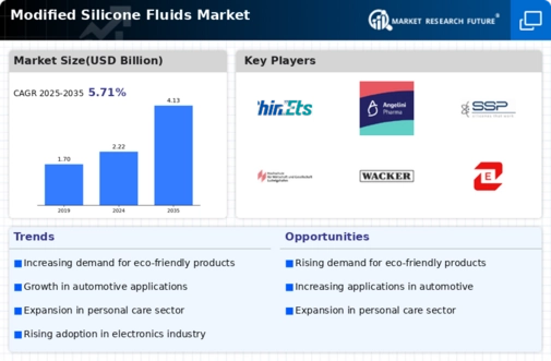 Modified Silicone Fluids Market Infographic