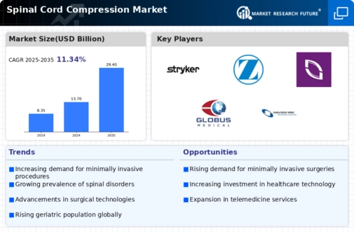 Spinal Cord Compression Spinal Stenosis Market Infographic