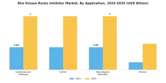 Rho Kinase Rocks Inhibitor Market Segment Image 0