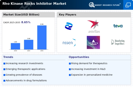 Rho Kinase Rocks Inhibitor Market Infographic