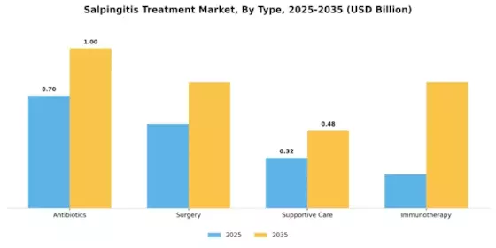 Salpingitis Treatment Market Segment Image 0