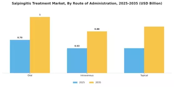 Salpingitis Treatment Market Segment Image 1