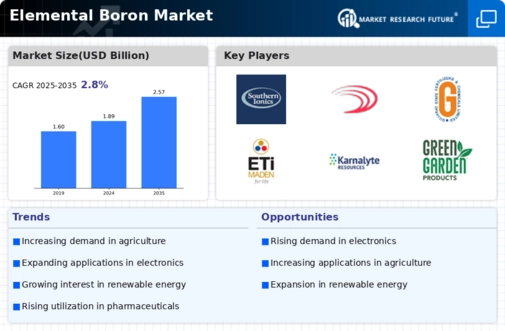 Elemental Boron Market Infographic