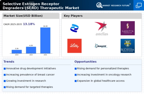 Selective Estrogen Receptor Degraders Therapeutic Market Infographic