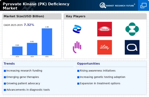 Pyruvate Kinase Deficiency Market Infographic