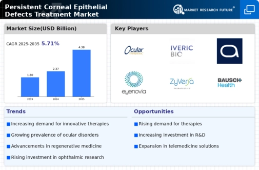 Persistent Corneal Epithelial Defects Treatment Market Infographic