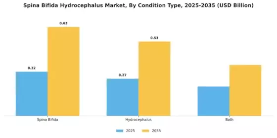 Spina Bifida Hydrocephalus Market Segment Image 0