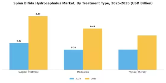 Spina Bifida Hydrocephalus Market Segment Image 1