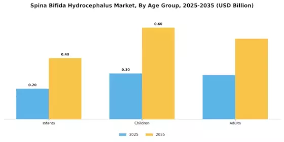 Spina Bifida Hydrocephalus Market Segment Image 2