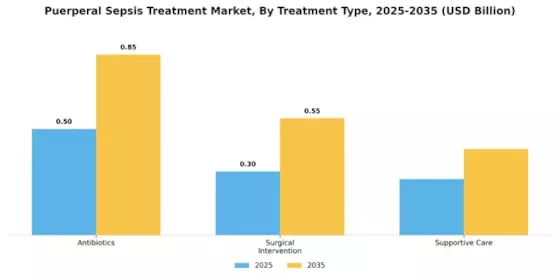 Puerperal Sepsis Treatment Market Segment Image 0