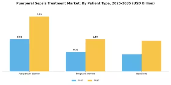 Puerperal Sepsis Treatment Market Segment Image 2
