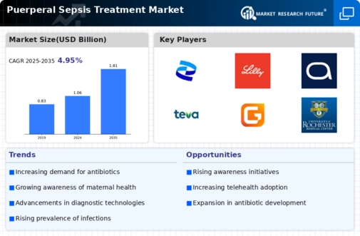 Puerperal Sepsis Treatment Market Infographic