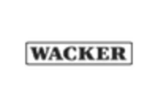 Epichlorohydrin Rubber Market   key player