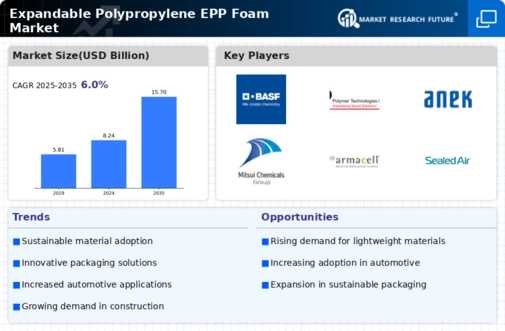 Expandable Polypropylene Foam Market Infographic