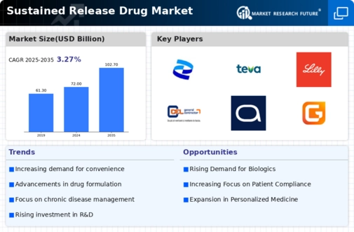 Sustained Release Drug Market Infographic
