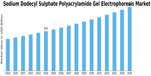 Sodium Dodecyl Sulphate Polyacrylamide Gel Electrophoresis Market Size