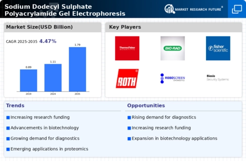 Sodium Dodecyl Sulphate Polyacrylamide Gel Electrophoresis Market Infographic