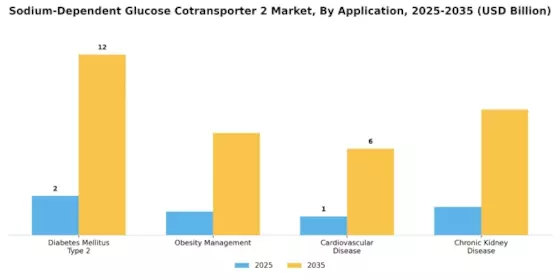 Sodium Dependent Glucose Cotransporter 2 Market
 Segment Image 0