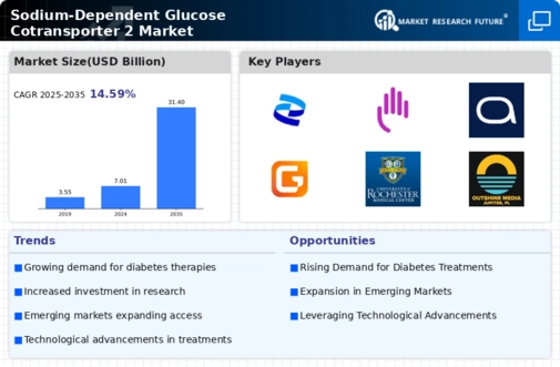 Sodium Dependent Glucose Cotransporter 2 Market
 Infographic