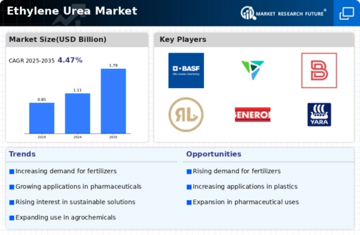 Ethylene Urea Market Infographic