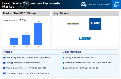 Food Grade Magnesium Carbonate Market Infographic