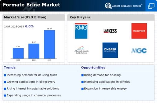 Formate Brine Market Infographic
