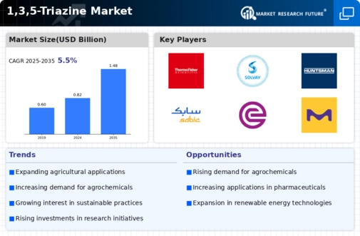 1 3 5 Triazine Market Infographic