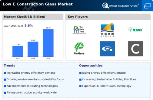 Low E Construction Glass Market Infographic