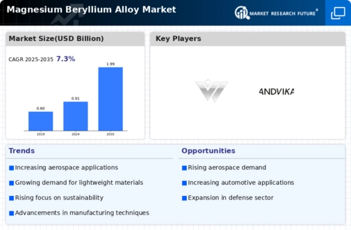 Magnesium Beryllium Alloy Market Infographic