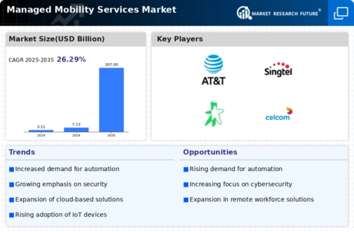 Managed Mobility Services Market Infographic