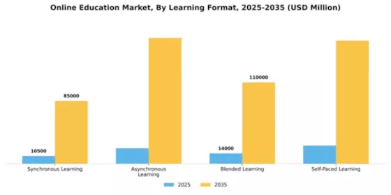 Online Education Market Segment Image 2