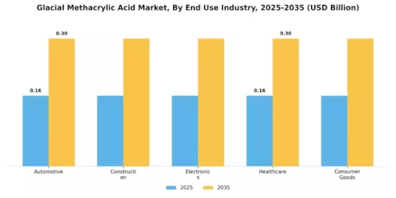 Glacial Methacrylic Acid Market Segment Image 1
