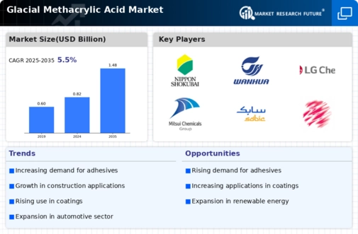 Glacial Methacrylic Acid Market Infographic