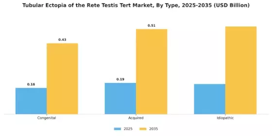 Tubular Ectof The Rete Testis Tert Market Segment Image 0