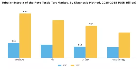 Tubular Ectof The Rete Testis Tert Market Segment Image 1