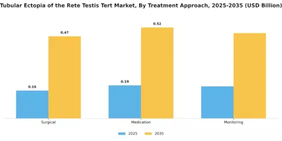 Tubular Ectof The Rete Testis Tert Market Segment Image 2