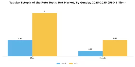 Tubular Ectof The Rete Testis Tert Market Segment Image 3