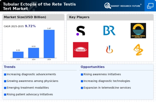 Tubular Ectof The Rete Testis Tert Market Infographic