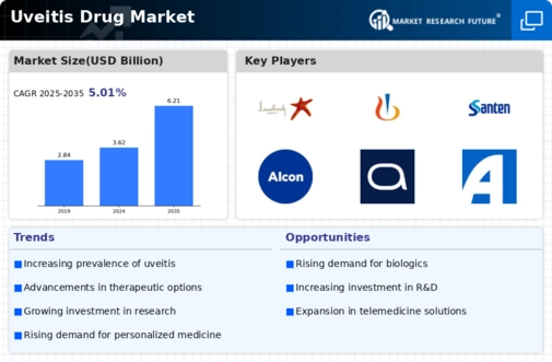 Uveitis Drug Market
 Infographic