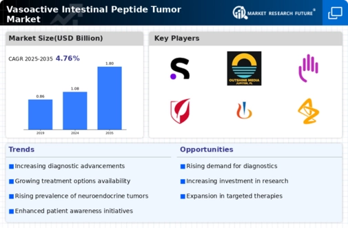 Vasoactive Intestinal Peptide Tumor Market
 Infographic