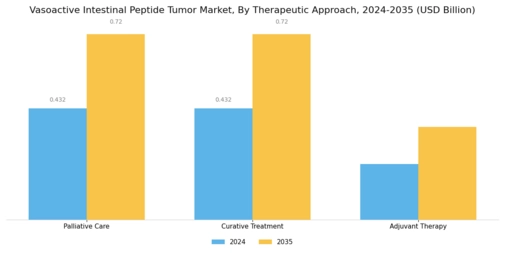 Vasoactive Intestinal Peptide Tumor Market
 Segment Image 3