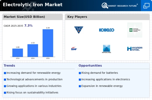 Electrolytic Iron Market Infographic
