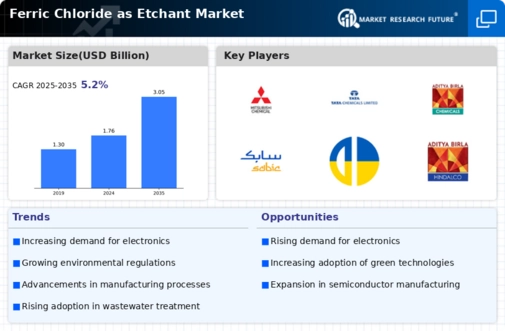 Ferric Chloride as Etchant Market Infographic