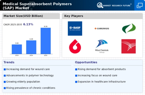 Medical Superabsorbent Polymers Market Infographic