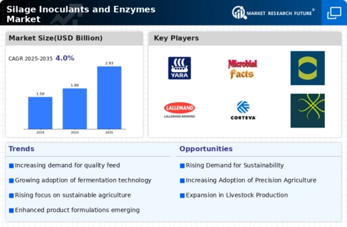 Silage Inoculants Enzymes Market Infographic