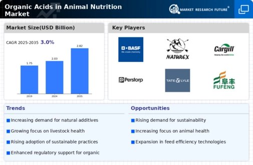 Organic Acids in Animal Nutrition Market Infographic