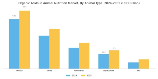 Organic Acids in Animal Nutrition Market Segment Image 1